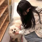 小鸡模拟器vr版去广告apk下载